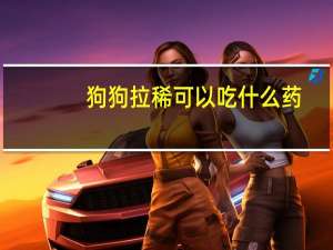 狗狗拉稀可以吃什么药