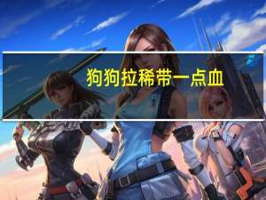 狗狗拉稀带一点血