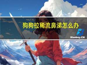 狗狗拉稀流鼻涕怎么办