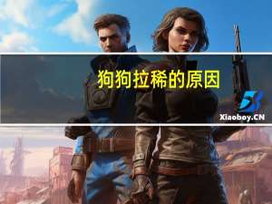 狗狗拉稀的原因
