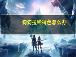 狗狗拉稀褐色怎么办