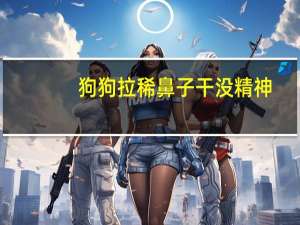 狗狗拉稀鼻子干没精神