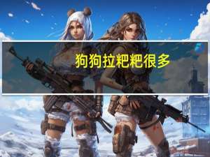 狗狗拉粑粑很多