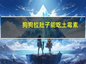 狗狗拉肚子能吃土霉素
