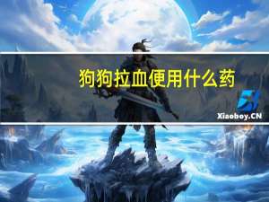 狗狗拉血便用什么药