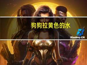 狗狗拉黄色的水