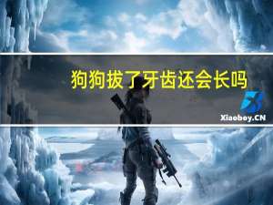 狗狗拔了牙齿还会长吗