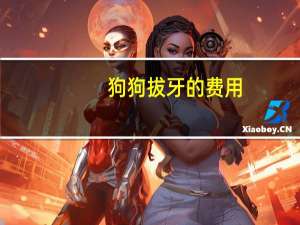 狗狗拔牙的费用