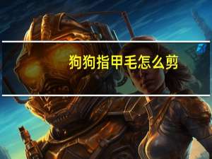 狗狗指甲毛怎么剪