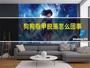 狗狗指甲脱落怎么回事