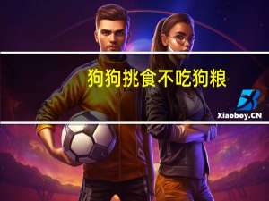 狗狗挑食不吃狗粮
