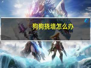 狗狗挠墙怎么办