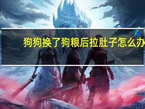 狗狗换了狗粮后拉肚子怎么办
