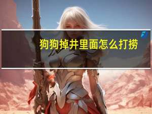 狗狗掉井里面怎么打捞