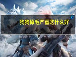 狗狗掉毛严重吃什么好