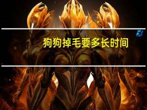 狗狗掉毛要多长时间