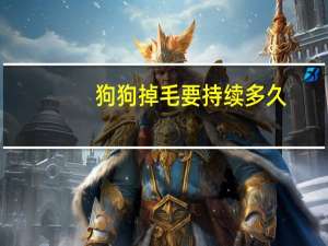 狗狗掉毛要持续多久