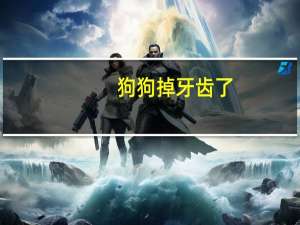 狗狗掉牙齿了