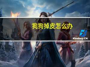 狗狗掉皮怎么办