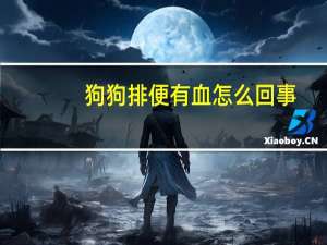 狗狗排便有血怎么回事