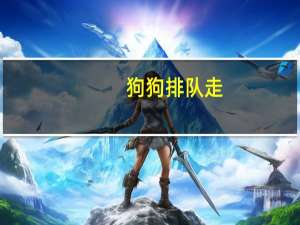 狗狗排队走