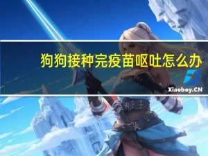 狗狗接种完疫苗呕吐怎么办