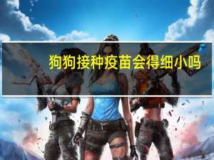狗狗接种疫苗会得细小吗