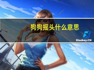 狗狗摇头什么意思