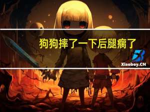狗狗摔了一下后腿瘸了
