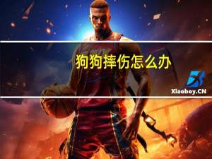 狗狗摔伤怎么办