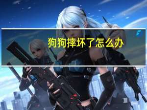狗狗摔坏了怎么办