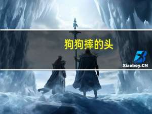狗狗摔的头