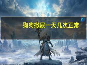 狗狗撒尿一天几次正常