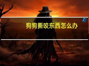狗狗撕咬东西怎么办