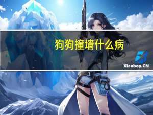 狗狗撞墙什么病