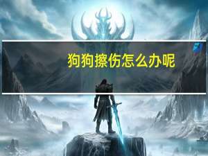 狗狗擦伤怎么办呢