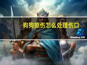 狗狗擦伤怎么处理伤口