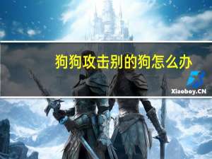 狗狗攻击别的狗怎么办