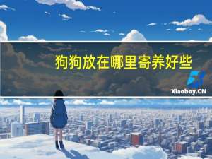 狗狗放在哪里寄养好些