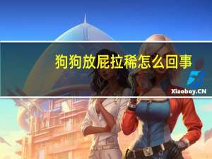 狗狗放屁拉稀怎么回事