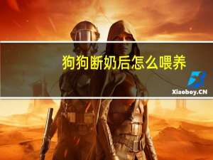 狗狗断奶后怎么喂养