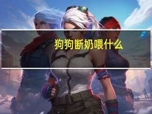 狗狗断奶喂什么