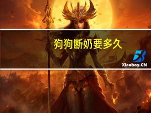 狗狗断奶要多久