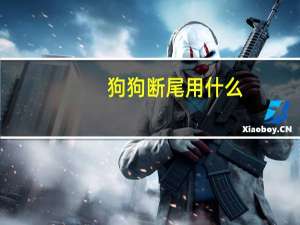 狗狗断尾用什么