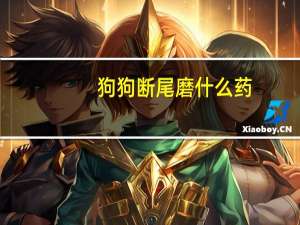 狗狗断尾磨什么药