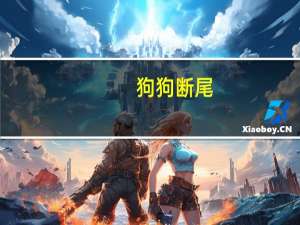 狗狗断尾