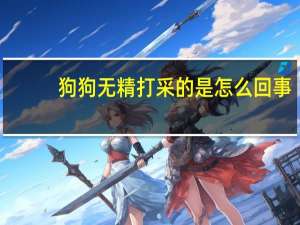 狗狗无精打采的是怎么回事