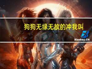 狗狗无缘无故的冲我叫