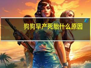 狗狗早产死胎什么原因