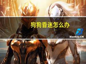 狗狗昏迷怎么办